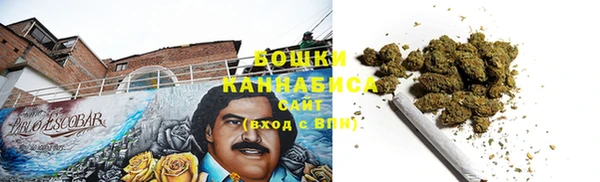 прущие грибы Березники