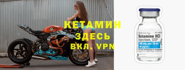 прущие грибы Березники
