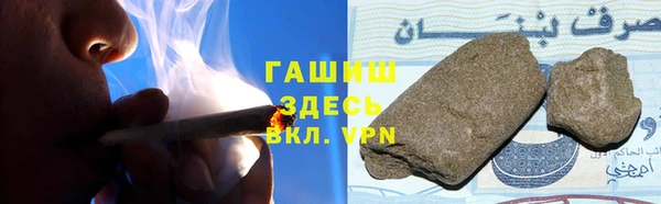прущие грибы Березники