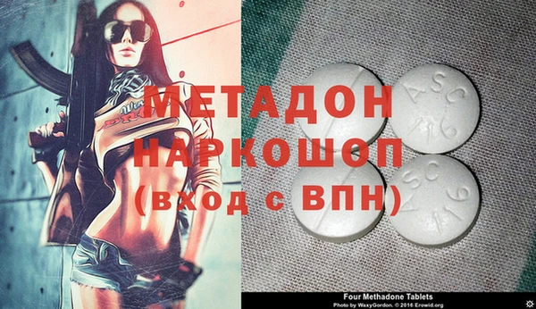 прущие грибы Березники