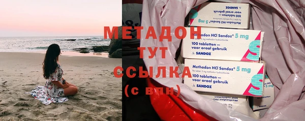 прущие грибы Березники