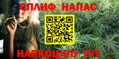 прущие грибы Балашиха