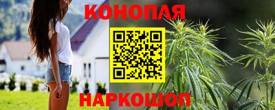прущие грибы Балашиха