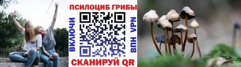 МЕГА онион Благодарный Псилоцибиновые грибы мицелий