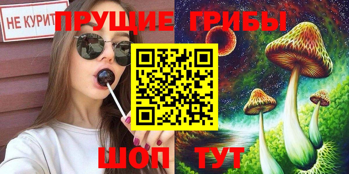 Благодарный  Галлюциногенные грибы Cubensis  Вход с VPN  Псилоцибиновые грибы Cubensis 