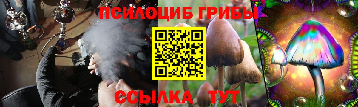 Галлюциногенные грибы Psilocybine cubensis Благодарный